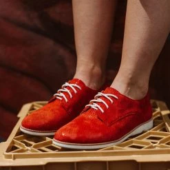 Rollie Nation Derby Red Dream All Shoes
