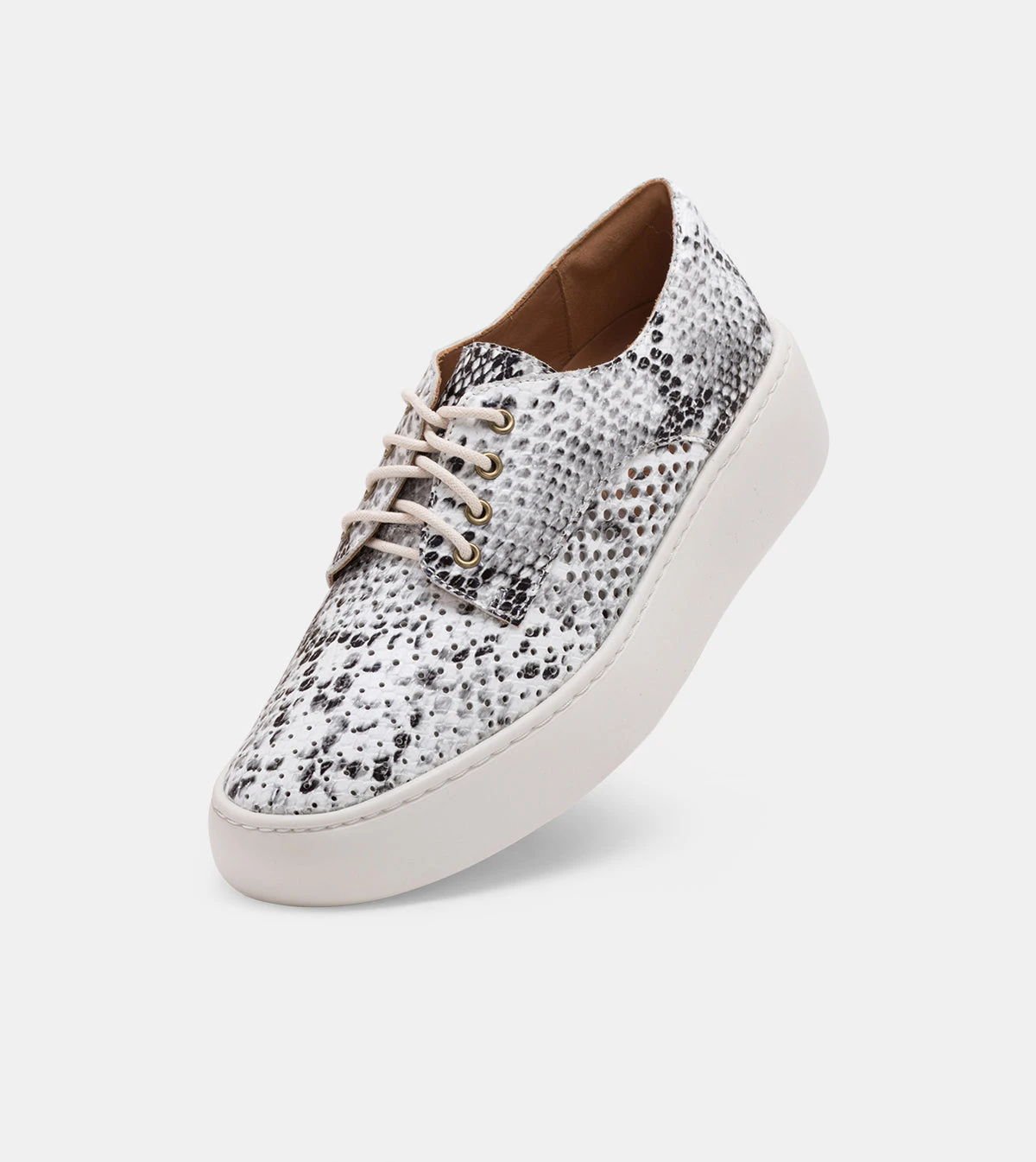 Rollie Nation All Shoes Derby City Punch Grey Snake 3 Rollie Nation All Shoes Derby City Punch Grey Snake