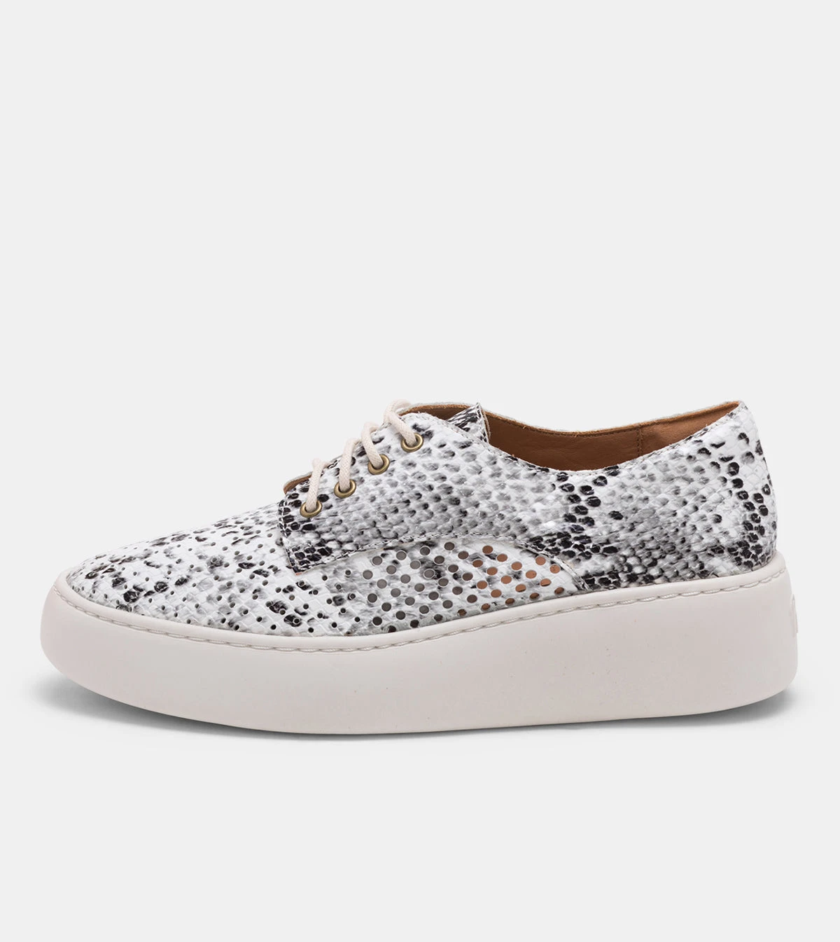 Rollie Nation All Shoes Derby City Punch Grey Snake 4 Rollie Nation All Shoes Derby City Punch Grey Snake