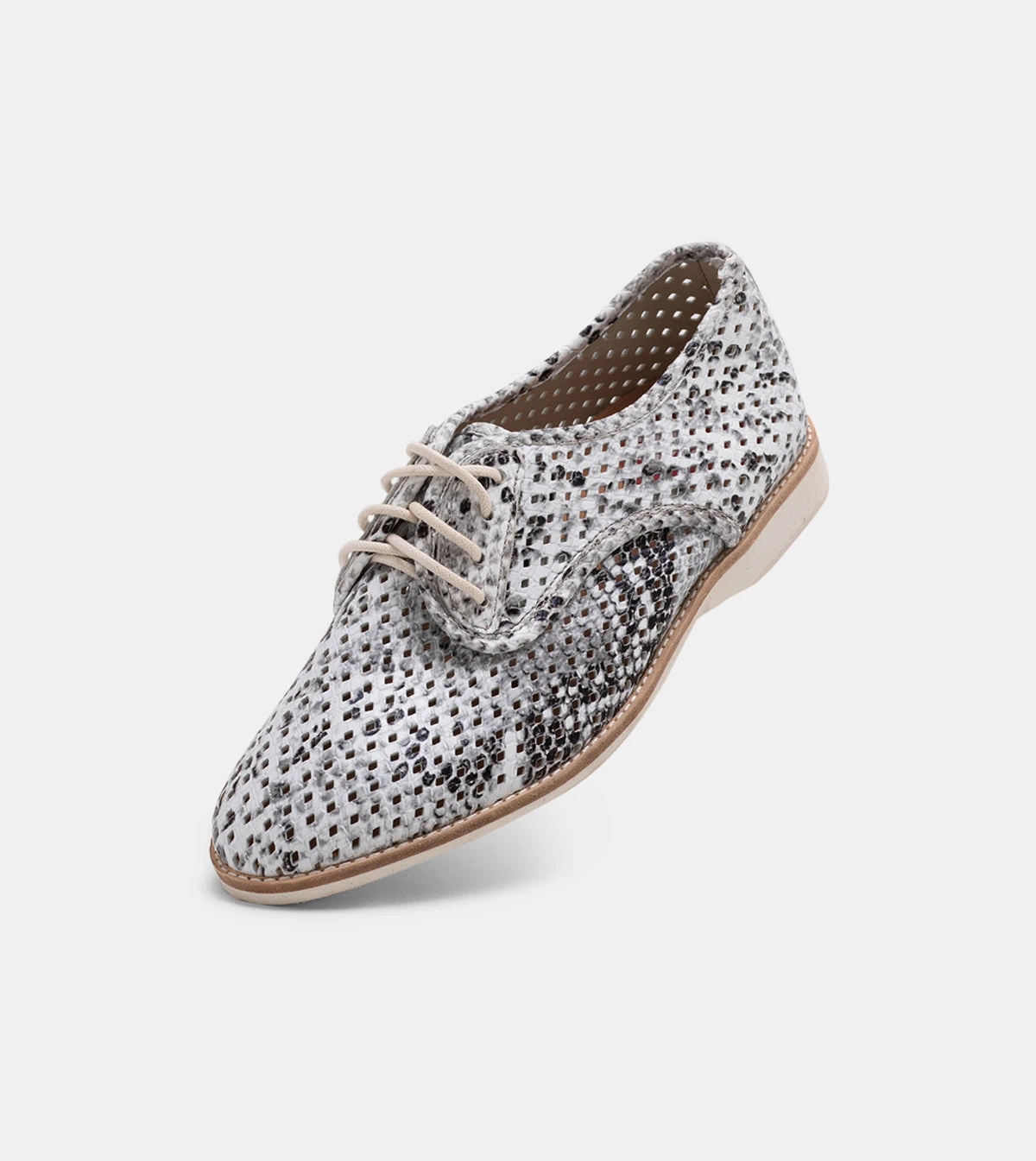 Rollie Nation Derby Punch Grey Snake All Shoes 3 Rollie Nation Derby Punch Grey Snake All Shoes