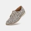 Rollie Nation Derby Medium Snow Leopard